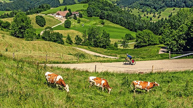 Hochrhein-und-Schweizer-Jura-b