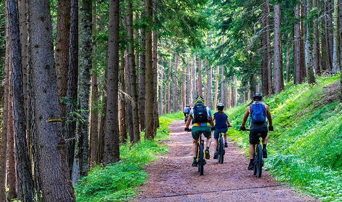 e-bike-forest-pixabay