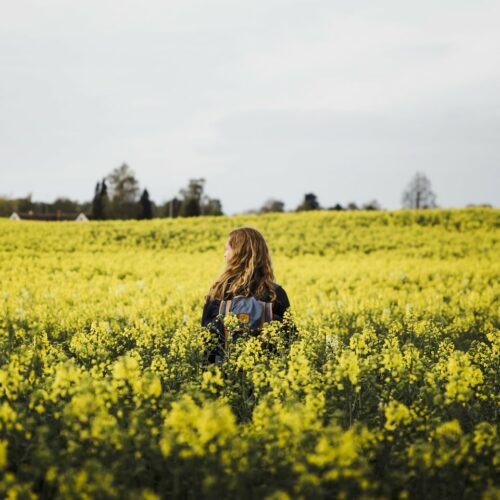 Wanderurlaub in Dänemark – The Danish Zen erleben