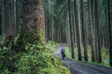 Aufsitzen, bitte – Marktübersicht Trekkingbikes