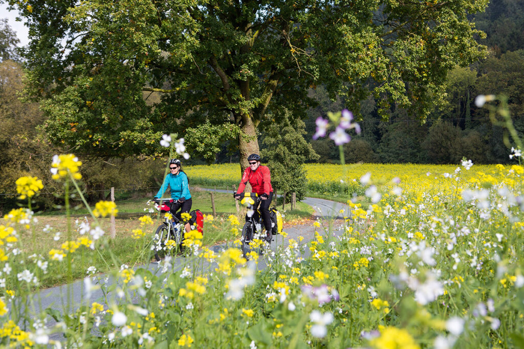 Radfahrer unterwegs auf der Gute Route Tour