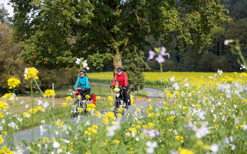 Radfahrer unterwegs auf der Gute Route Tour