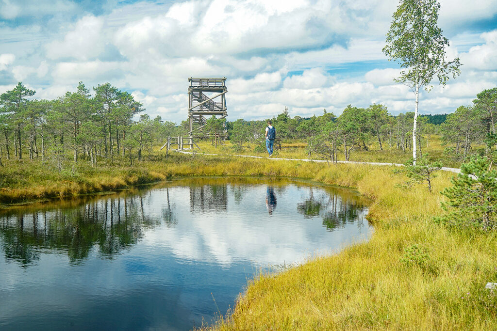 Lettland Kemeri Nationalpark Lielais Kemereo Tirelis Moorwanderung