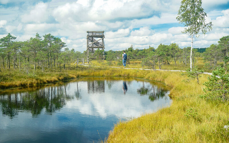 Lettland Kemeri Nationalpark Lielais Kemereo Tirelis Moorwanderung