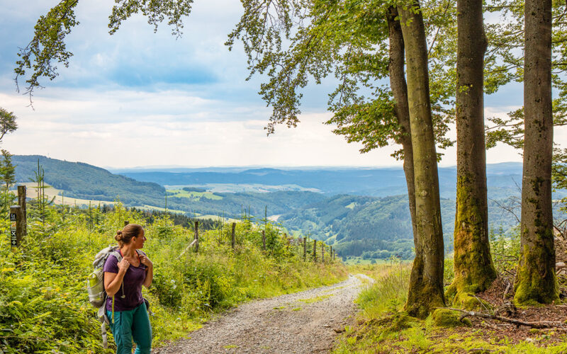 Wanderung im Sauerland