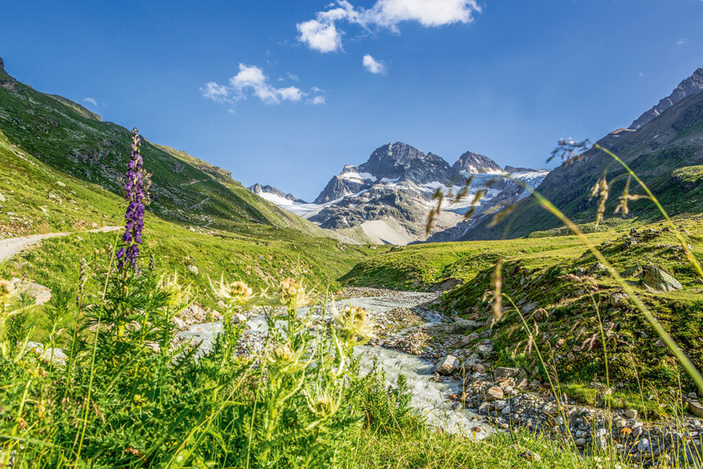 Piz Buin Österreich