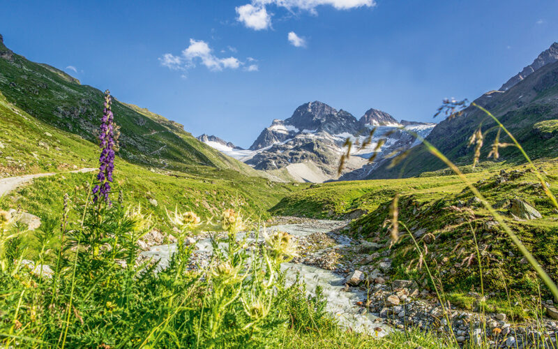 Piz Buin Österreich