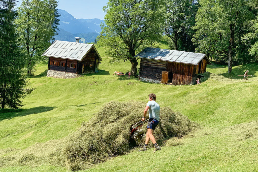 Bergbauer Berktold auf den Alpen bei der Arbeit