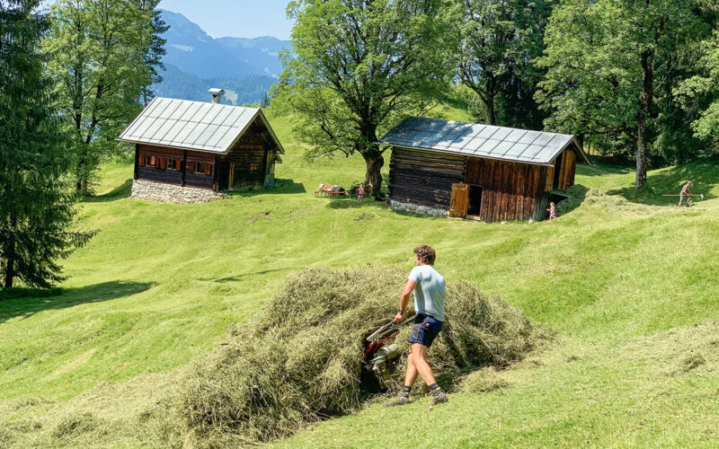 Bergbauer Berktold auf den Alpen bei der Arbeit