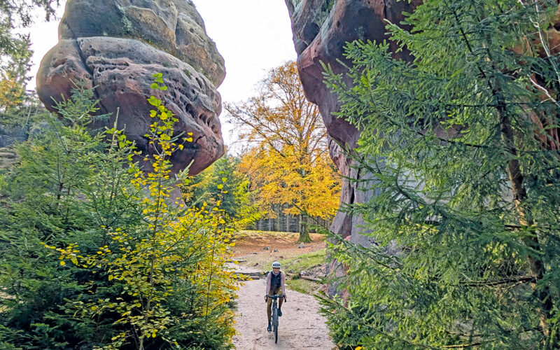 RockHead Route Sächsische Schweiz Gravelbike